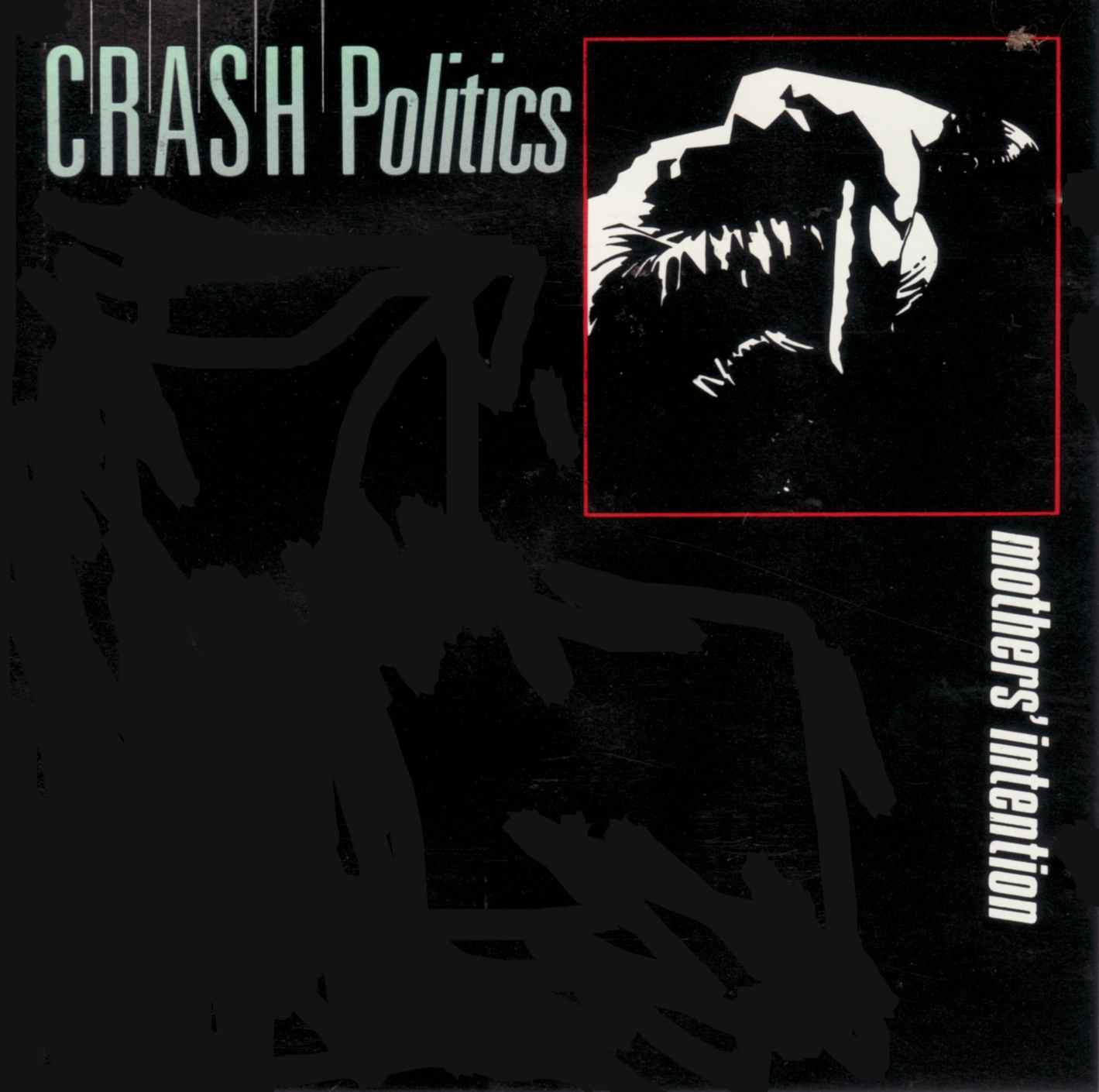 Crash Politics  Mothers Intention : Front
